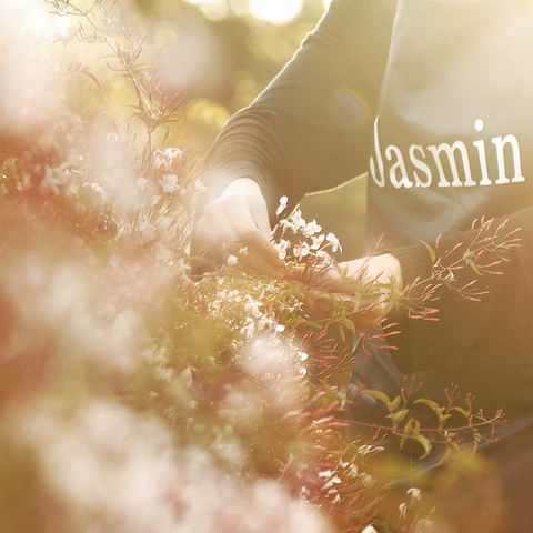 Jasmin Organics Skincare Farm And Factory - Accommodation Gladstone 8