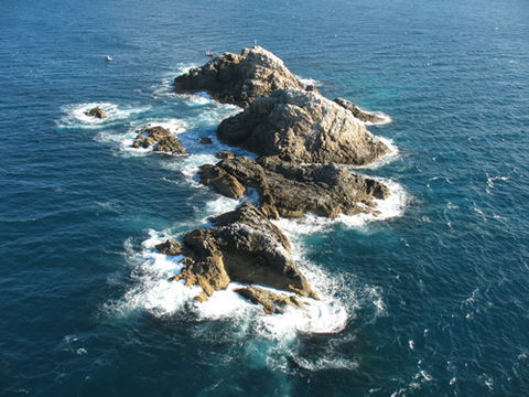 Cape Byron Marine Park - Accommodation Gladstone 1