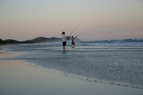 Cape Byron Marine Park - Accommodation Gladstone 2