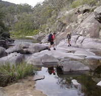 Nadgee Wilderness Walk - Accommodation Gladstone