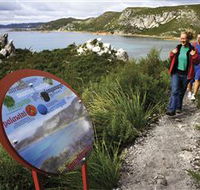 Rocky Cape National Park - Accommodation Gladstone