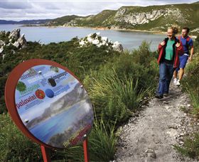 Rocky Cape National Park - Accommodation Gladstone 0