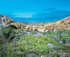 Rocky Cape National Park - Accommodation Gladstone 3