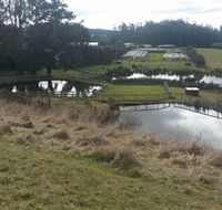 Guide Falls Farm - Accommodation Gladstone