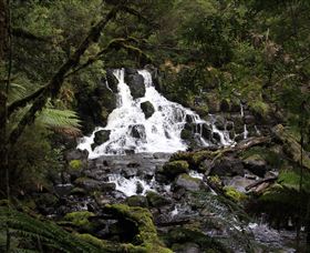Hellyer Gorge - Accommodation Gladstone 2