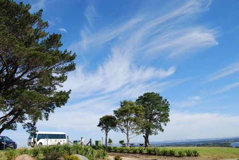 South Coast Scenic Tours - Accommodation Gladstone 6