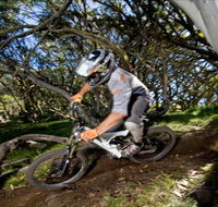 All Terrain Cycles - Accommodation Gladstone