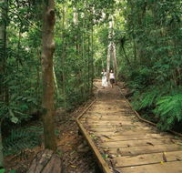 Lake Barrine Circuit Track Crater Lakes National Park - Accommodation Gladstone