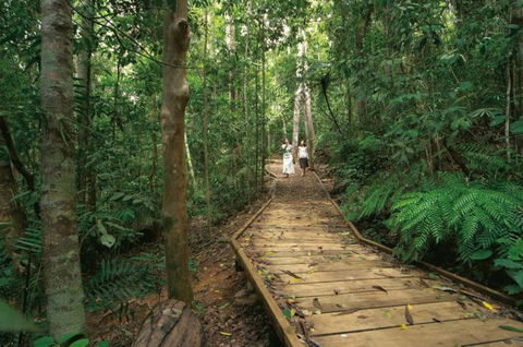 Lake Barrine Circuit Track, Crater Lakes National Park - Accommodation Gladstone 0