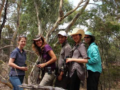 Echidna Walkabout Nature Tours - Accommodation Gladstone 1