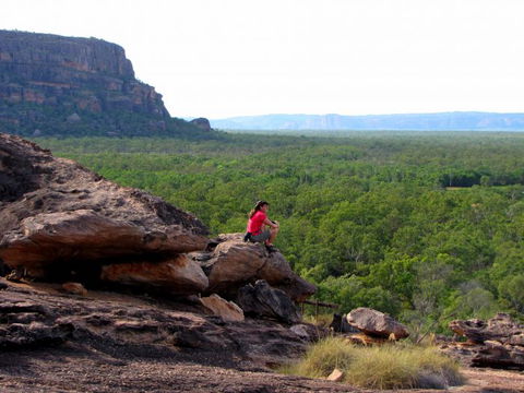 Echidna Walkabout Nature Tours - Accommodation Gladstone 21