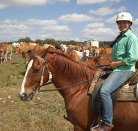 Myella Farm Stay Tours - Accommodation Gladstone