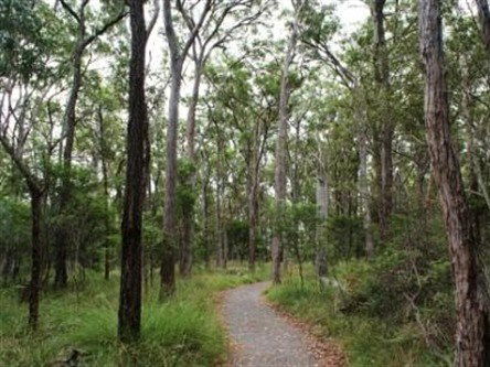 Caboolture Regional Environment Education Centre - Walking Trails - Accommodation Gladstone 0