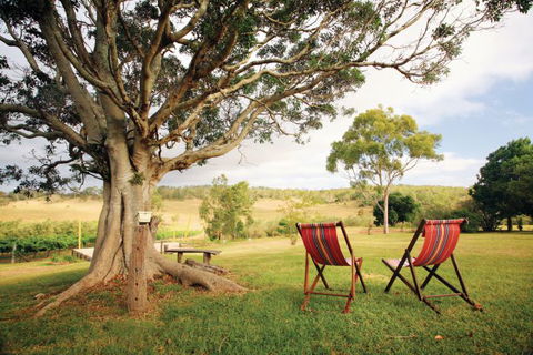 Northern Food Trail - Accommodation Gladstone 0