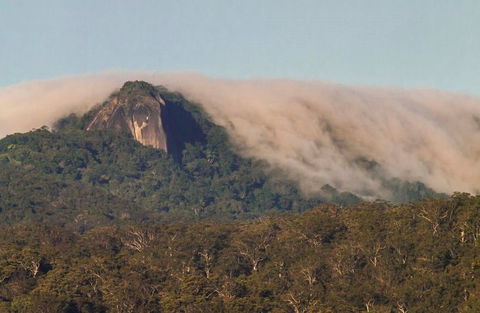 North Queensland Wildscapes Phototours - Accommodation Gladstone 0