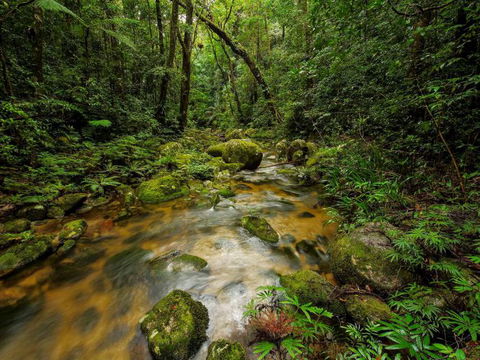 North Queensland Wildscapes Phototours - Accommodation Gladstone 2