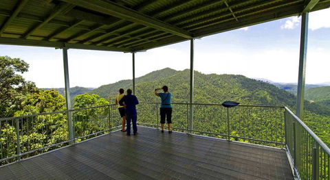 North Queensland Wildscapes Phototours - Accommodation Gladstone 5