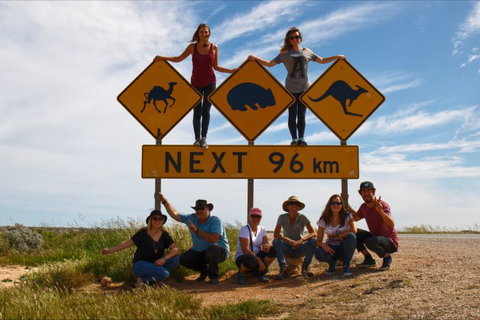 Nullarbor Traveller - Accommodation Gladstone 4