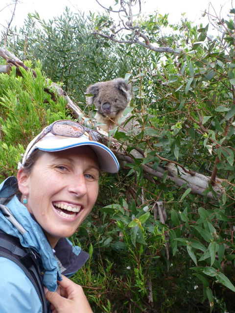 Auswalk Walking Holidays - Accommodation Gladstone 1