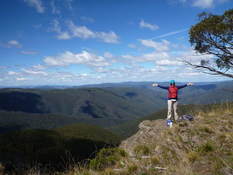 Auswalk Walking Holidays - Accommodation Gladstone 47