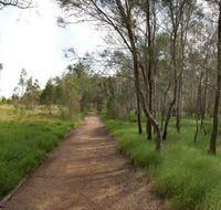 Billai dhagun Circuit Place of She-Oaks - Accommodation Gladstone