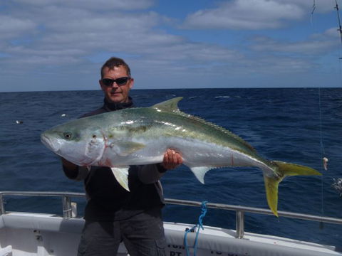 Reef Encounters Fishing Charters. - Accommodation Gladstone 12