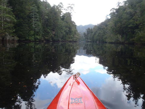 King River Rafting - Accommodation Gladstone 1