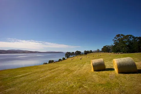 Coast House Tasmania - Accommodation Gladstone 4