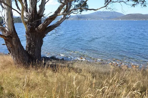 Coast House Tasmania - Accommodation Gladstone 8