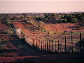 Tri State Safaris - Accommodation Gladstone 0
