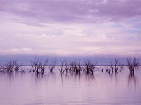Tri State Safaris - Accommodation Gladstone 8
