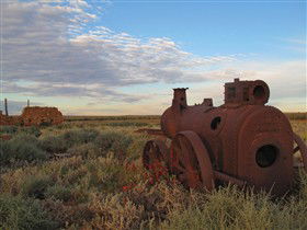 Tri State Safaris - Accommodation Gladstone 11