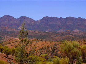 Tri State Safaris - Accommodation Gladstone 16