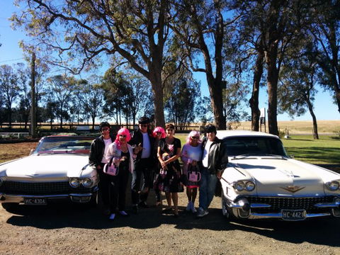 Hunter Valley Cadillacs - Accommodation Gladstone 1