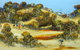 Australis Art - thumb 1