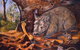 Davson Art - thumb 2
