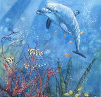 Nadas Fine Art Gallery - Accommodation Gladstone