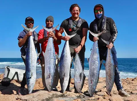 Perth Fishing Safaris - Accommodation Gladstone 1