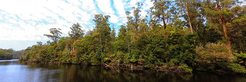 A R Reflections River Cruises - Accommodation Gladstone 0