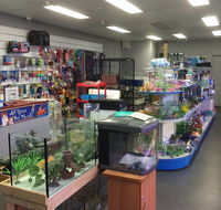 Nambour Pet Shop - Accommodation Gladstone