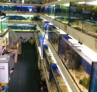 Clearwater Aquariums - Accommodation Gladstone