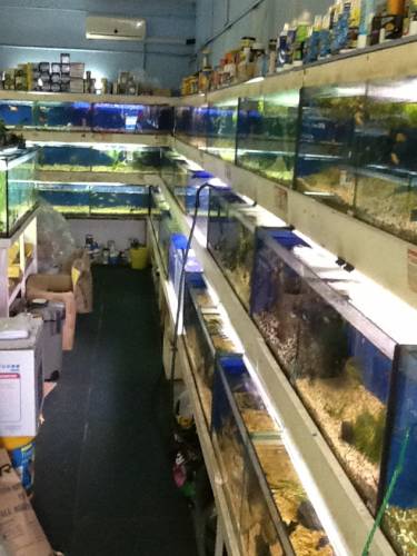 Clearwater Aquariums - Accommodation Gladstone 0