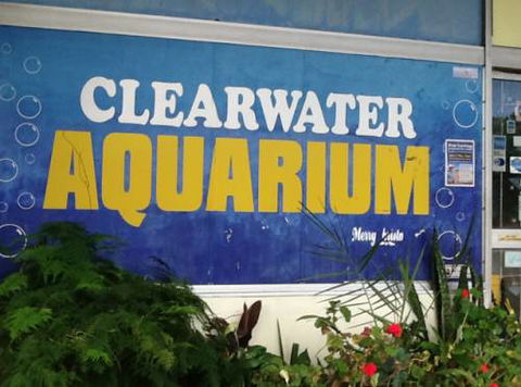 Clearwater Aquariums - Accommodation Gladstone 2