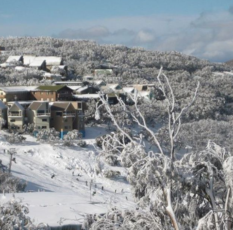 Down Under Thrills - Accommodation Gladstone 2
