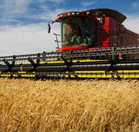 Quirindi Grain and produce - Accommodation Gladstone