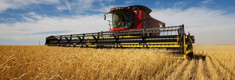 Quirindi Grain And Produce - Accommodation Gladstone 0