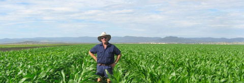 Quirindi Grain And Produce - Accommodation Gladstone 1