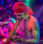 Didgeridoo Jam In The Park - Accommodation Gladstone 1