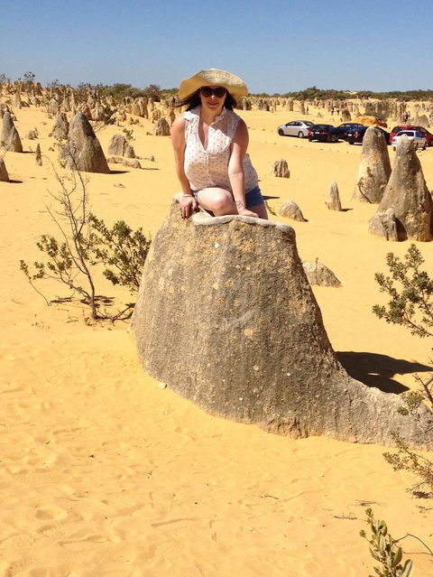 Pinnacles Desert, Koalas And Sandboarding 4WD Day Tour From Perth - Accommodation Gladstone 18