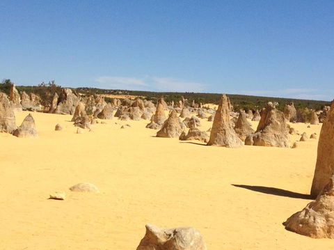 Pinnacles Desert, Koalas And Sandboarding 4WD Day Tour From Perth - Accommodation Gladstone 15